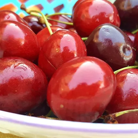 Alojamento de Acomodação e Pequeno-almoço La Finestra Sulla Valle 4*